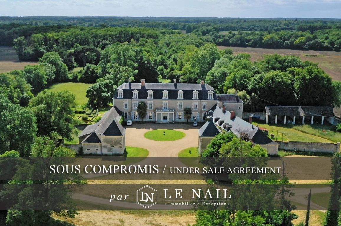 château 25 pièces en vente à BAUGE EN ANJOU (49150) - Plus de details