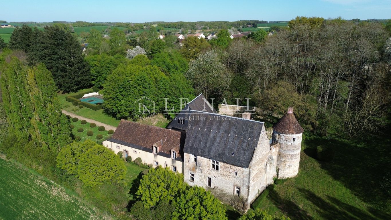 castle 14 rooms for sale on VENDOME (41100) - See details