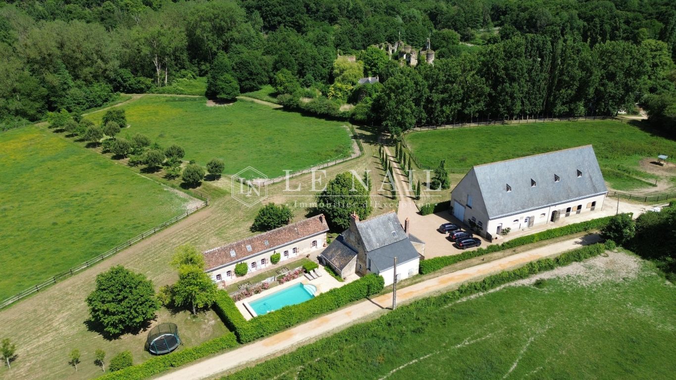 propriété 9 pièces en vente à CHATEAU LA VALLIERE (37330) - Plus de details