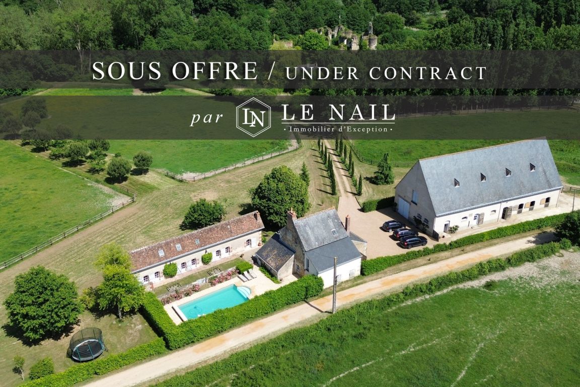 propriété 9 pièces en vente à CHATEAU LA VALLIERE (37330) - Plus de details