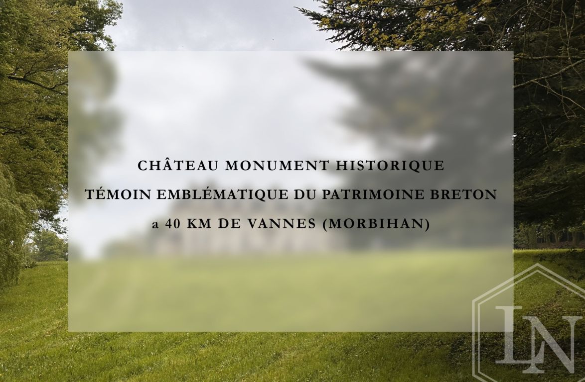 château 22 pièces en vente à JOSSELIN (56120) - Plus de details