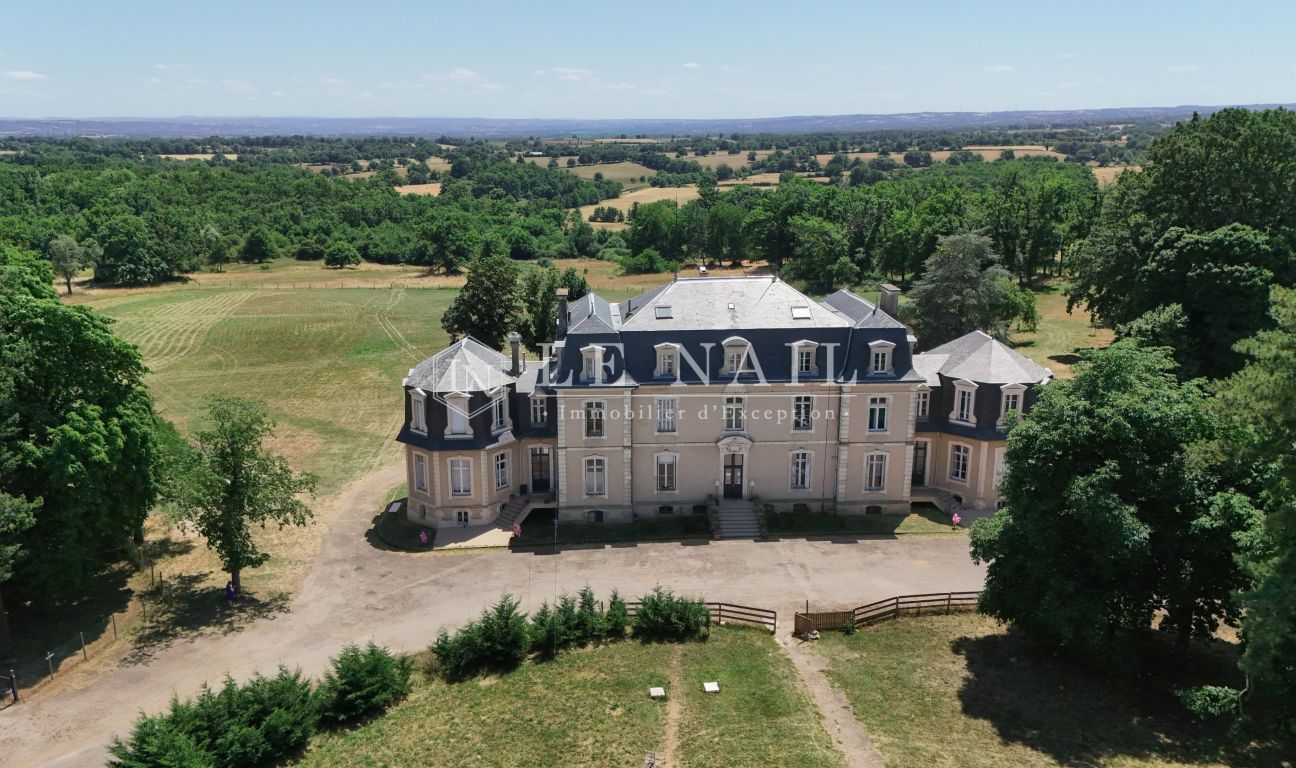 castle 31 rooms for sale on MONTLUCON (03100) - See details