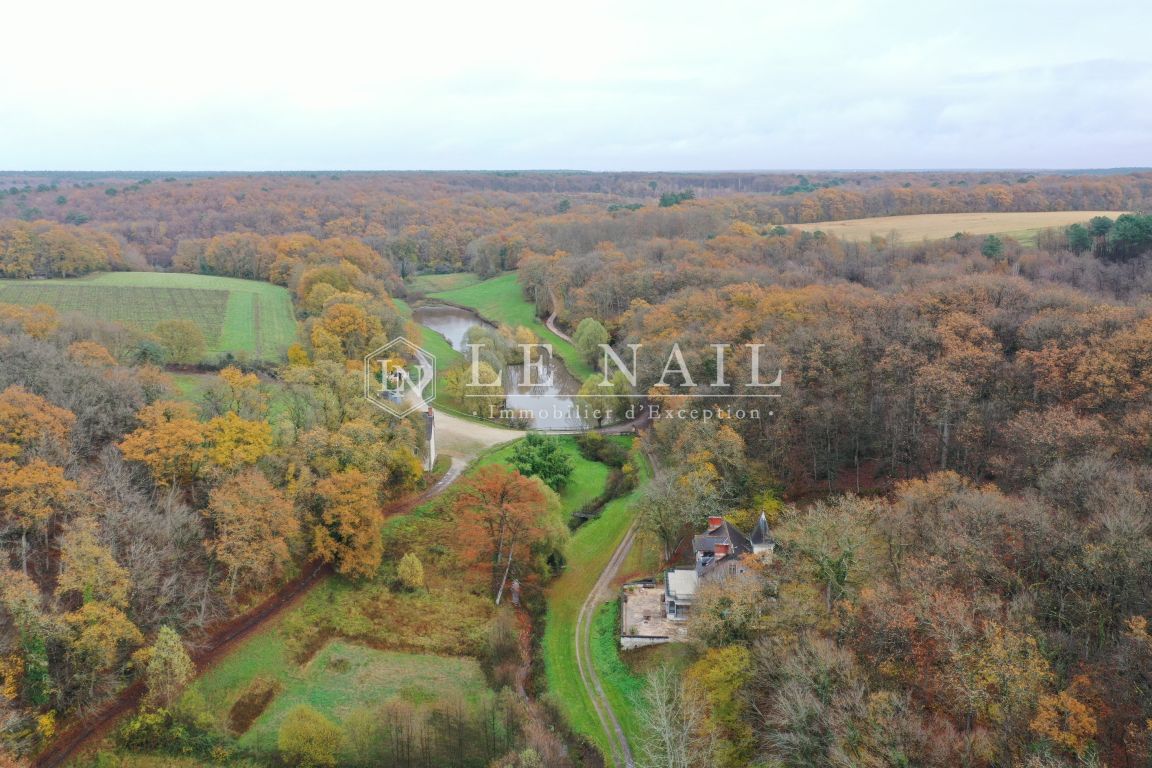 hunting estate 15 rooms for sale on CHINON (37500) - See details