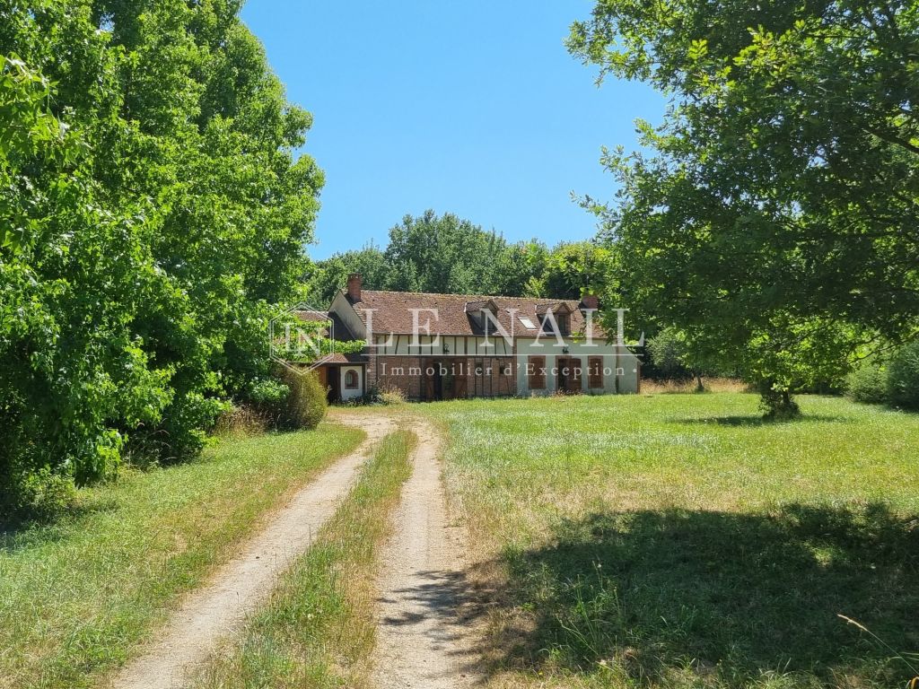 propriété 6 pièces en vente à SULLY SUR LOIRE (45600) - Plus de details