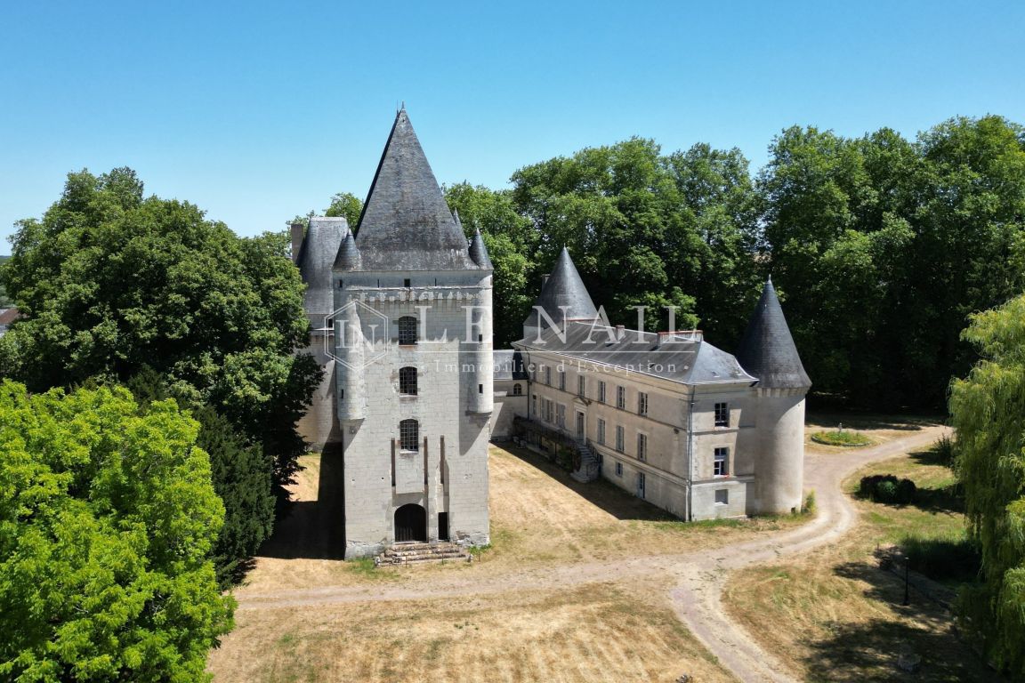 château 15 pièces en vente à BUZANCAIS (36500) - Plus de details