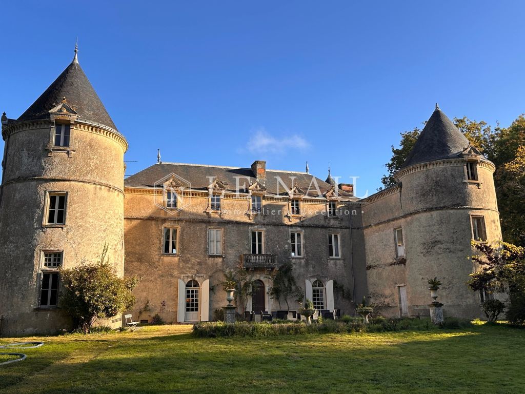 castle 17 rooms for sale on CHANTONNAY (85110) - See details