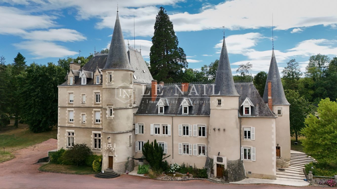 castle 25 rooms for sale on VICHY (03200) - See details
