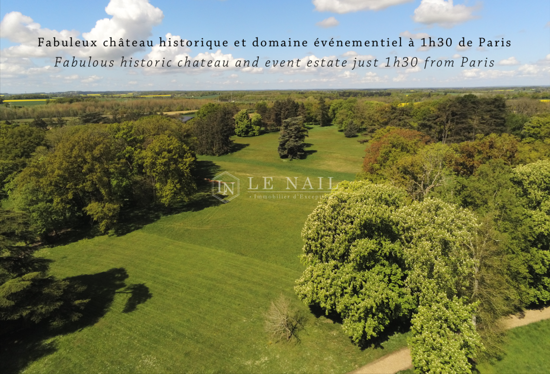 castle 99.9 rooms for sale on VENDOME (41100) - See details