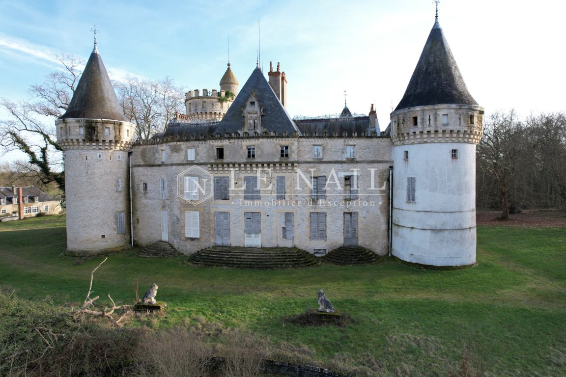 castle 23 rooms for sale on SANCOINS (18600) - See details