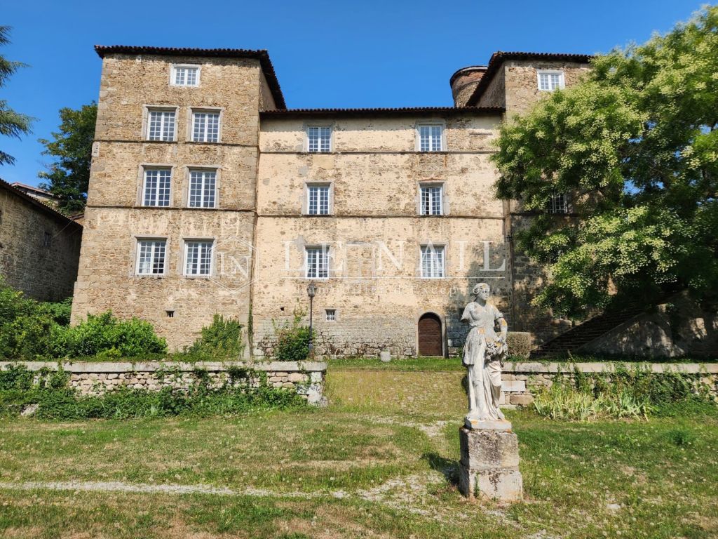château 20 pièces en vente à ST ETIENNE (42000) - Plus de details
