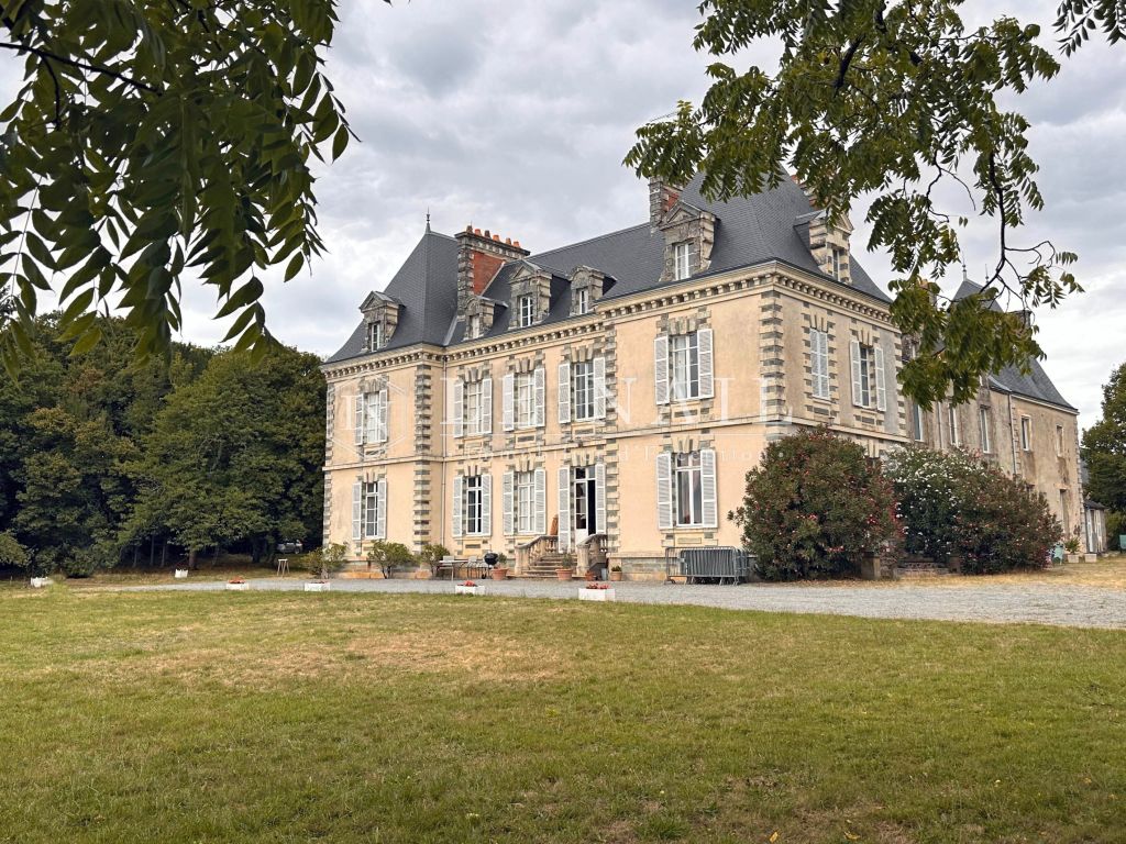 castle 30 rooms for sale on ST MARTIN SUR OUST (56200) - See details