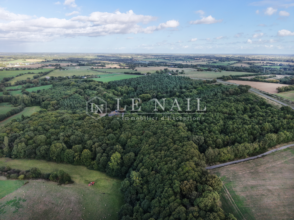 forêt en vente à CHATEAU GONTIER (53200) - Plus de details