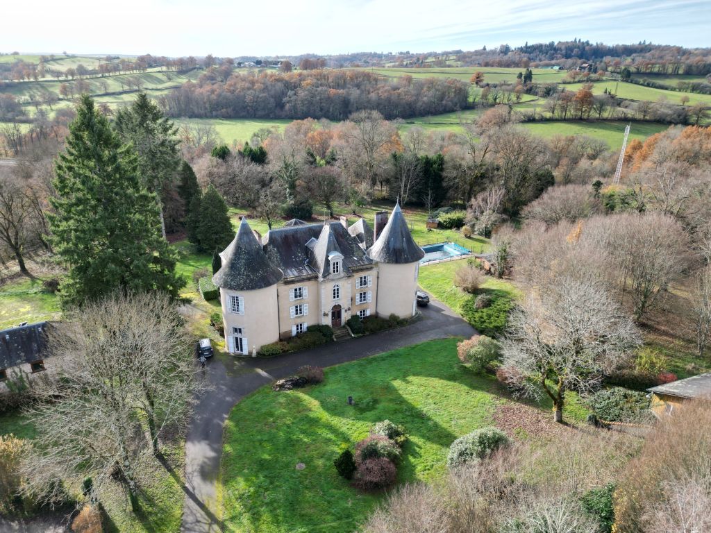 castle 15 rooms for sale on LIMOGES (87000) - See details