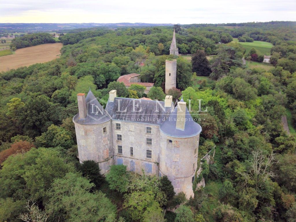 castle 16 rooms for sale on AGEN (47000) - See details