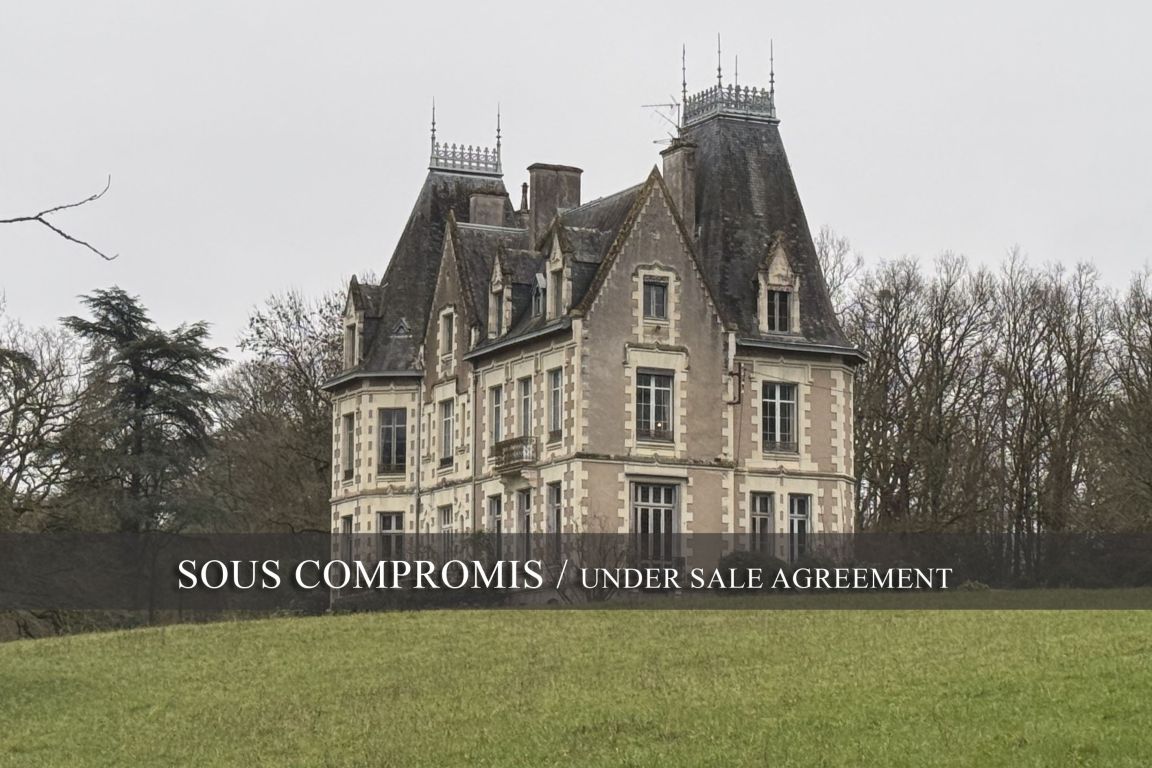 castle 19 rooms for sale on ANGERS (49000) - See details