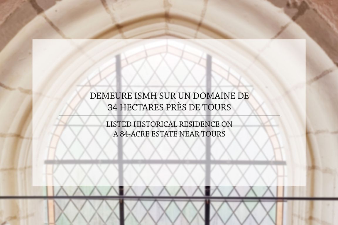 propriété 14 pièces en vente à TOURS (37000) - Plus de details