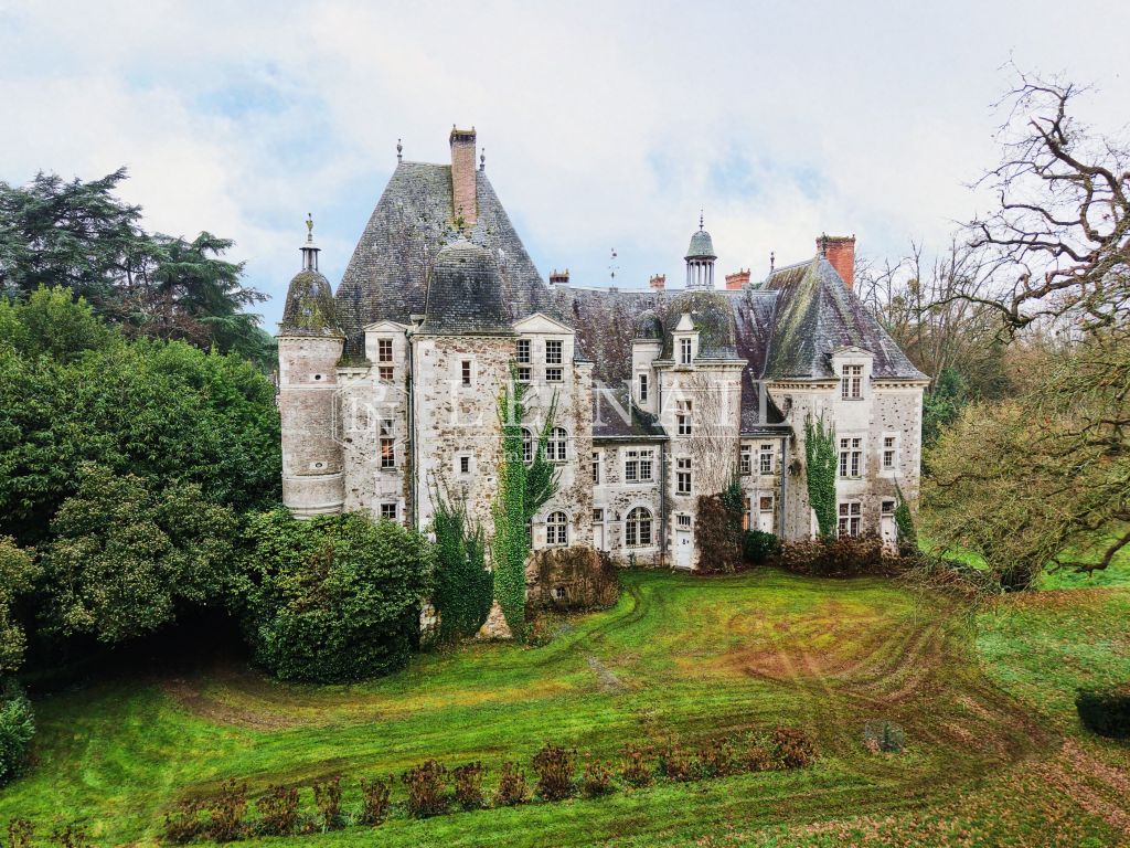 castle 20 rooms for sale on LE LION D ANGERS (49220) - See details