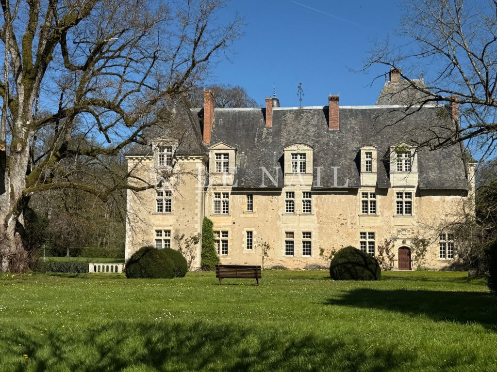 château 20 pièces en vente à LE LION D ANGERS (49220) - Plus de details