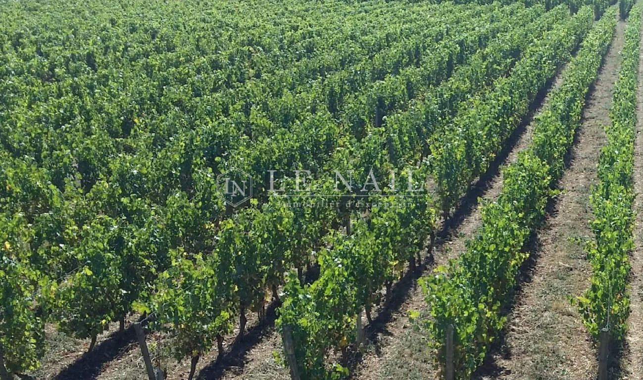 wine estate 7 rooms for sale on BERGERAC (24100) - See details