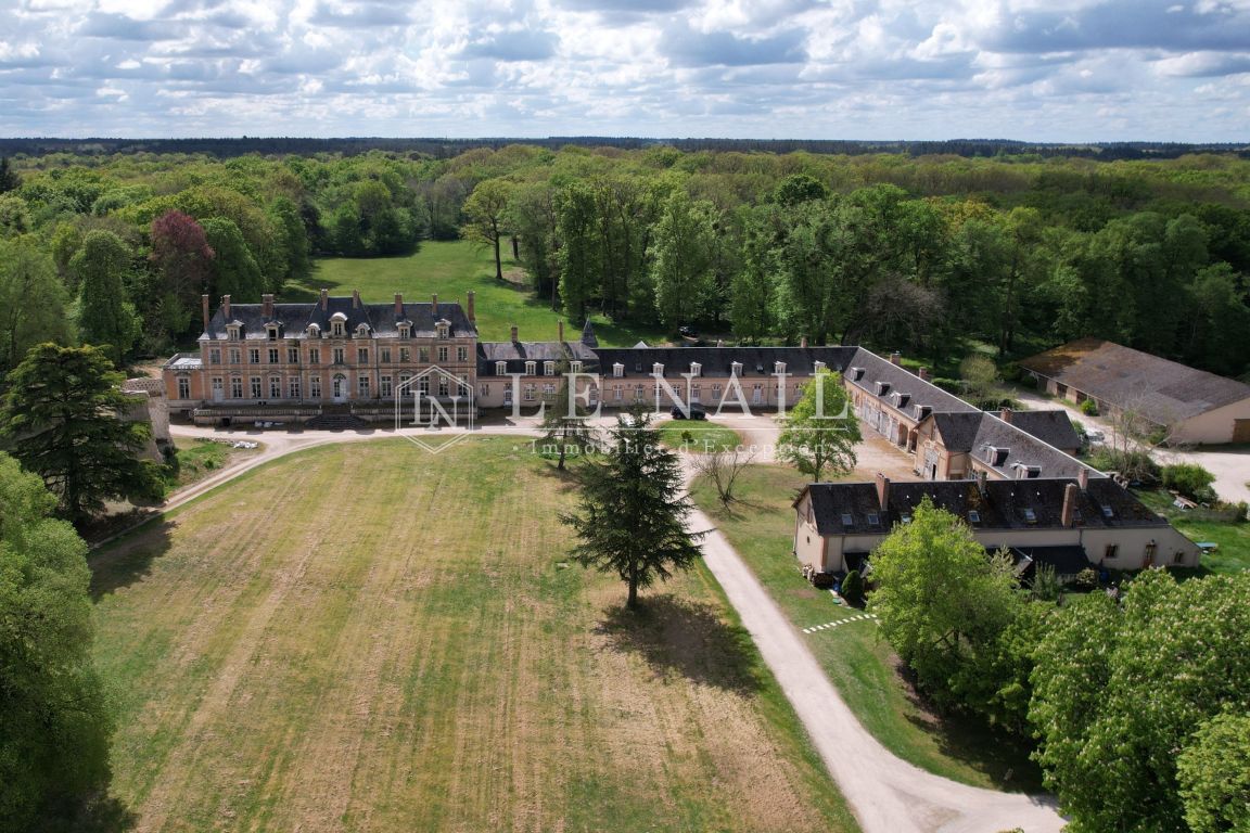 castle 71 rooms for sale on ORLEANS (45000) - See details
