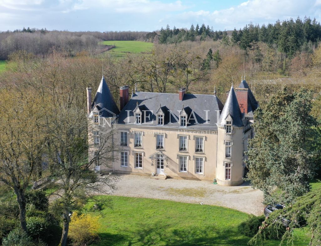 castle 19 rooms for sale on ALENCON (61000) - See details