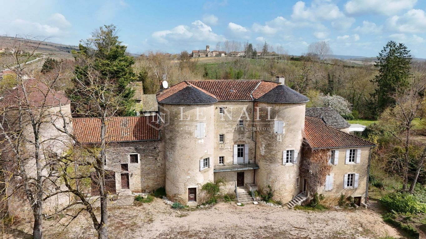 castle 30 rooms for sale on MACON (71000) - See details