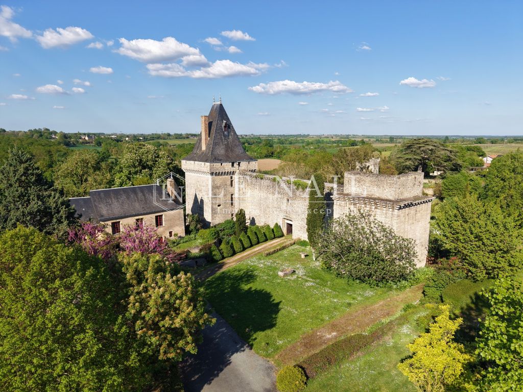 castle 9 rooms for sale on ANGERS (49100) - See details