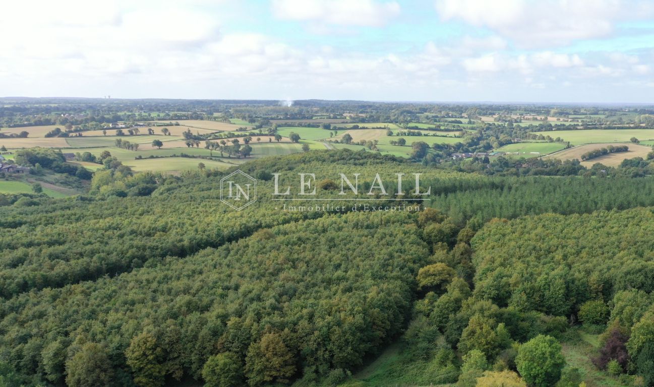 forêt en vente à HOUSSAY (53360) - Plus de details