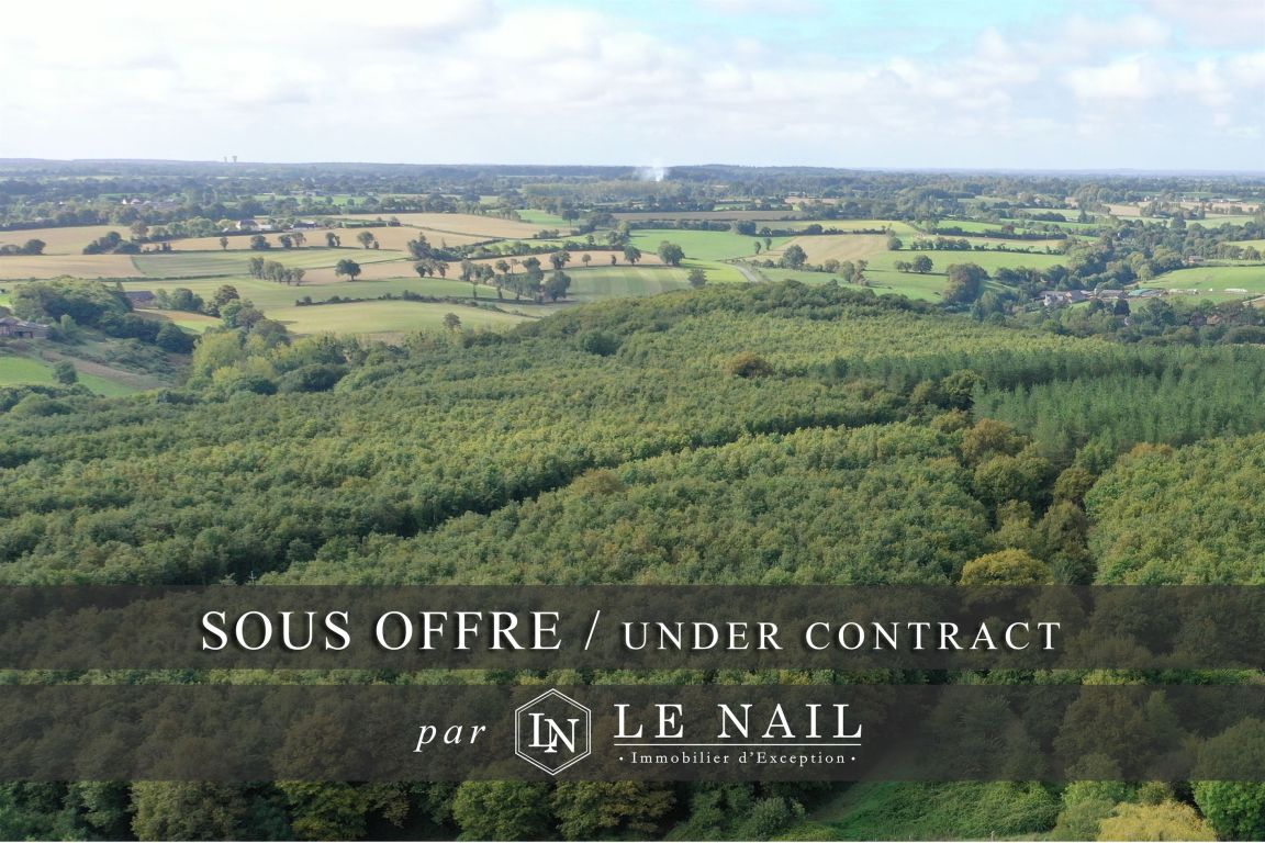forest for sale on HOUSSAY (53360) - See details