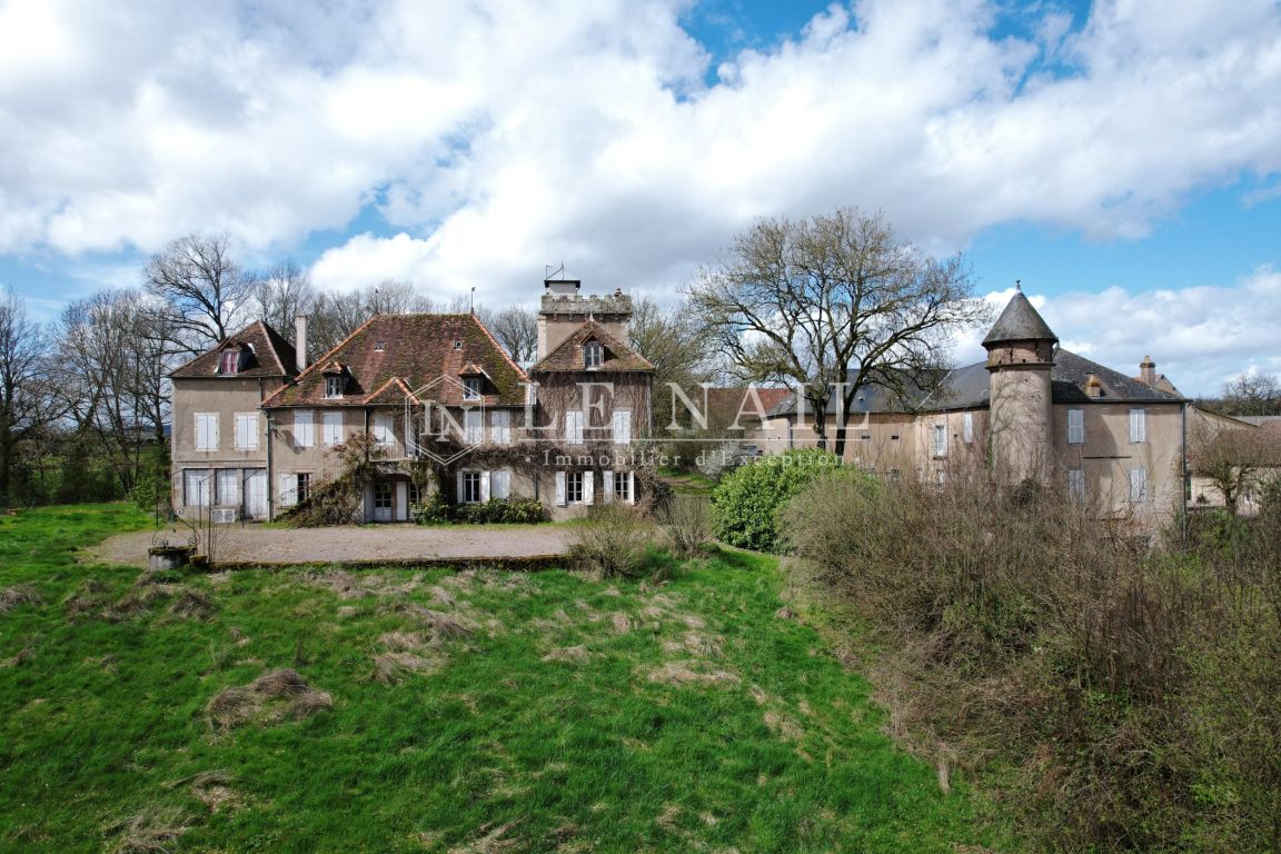 manor house 18 rooms for sale on AUTUN (71400) - See details