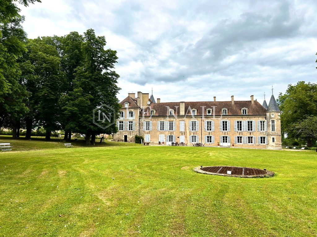castle 36 rooms for sale on AVALLON (89200) - See details