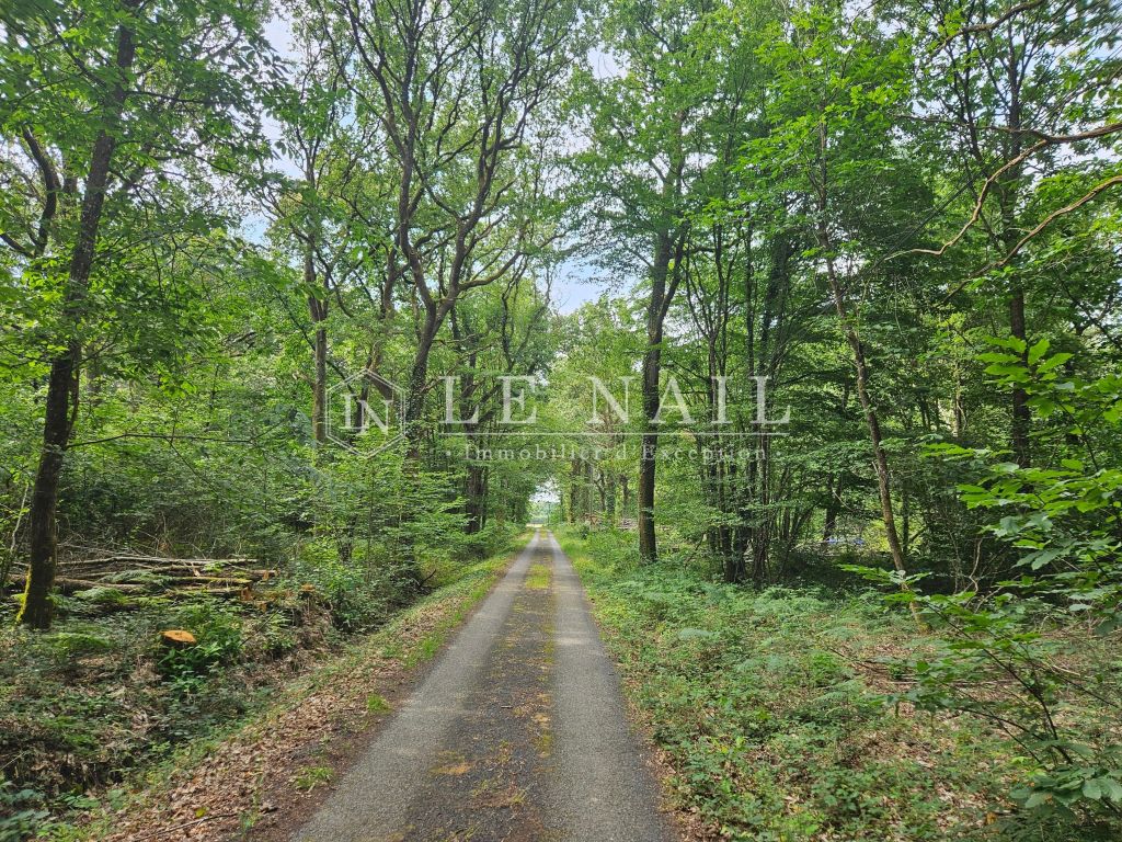 forêt en vente à CHATEAU GONTIER (53200) - Plus de details
