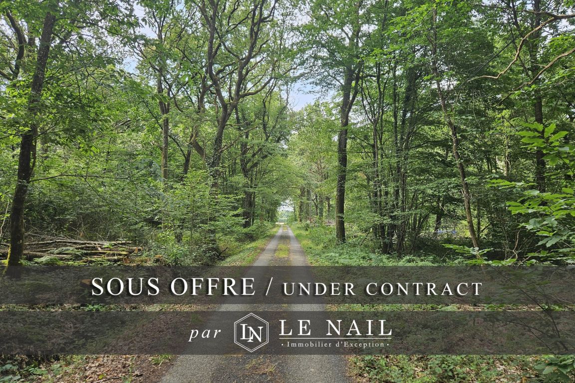 forest for sale on CHATEAU GONTIER (53200) - See details