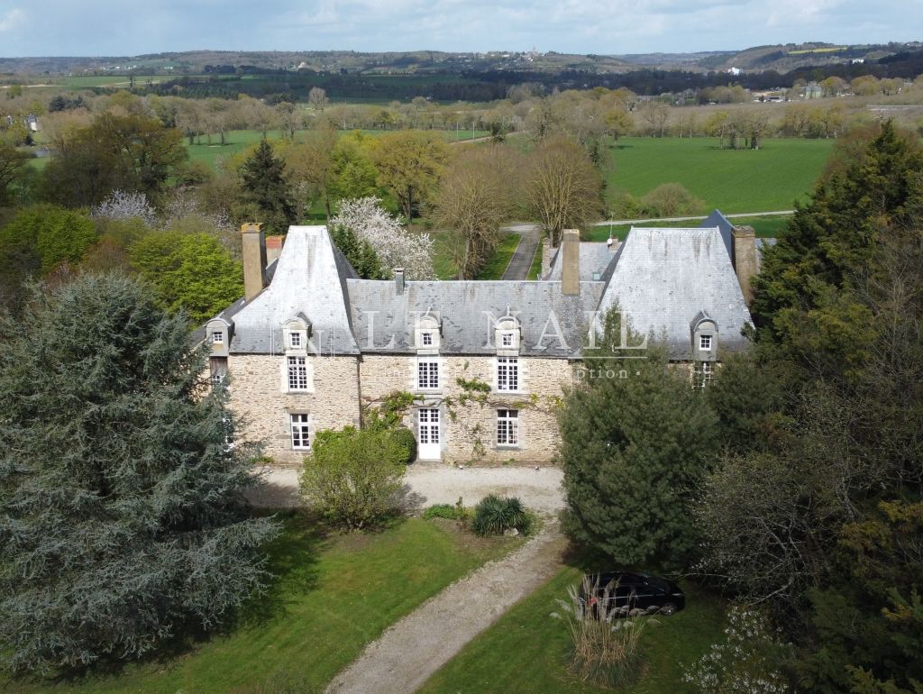château 12 pièces en vente à BAIN DE BRETAGNE (35470) - Plus de details