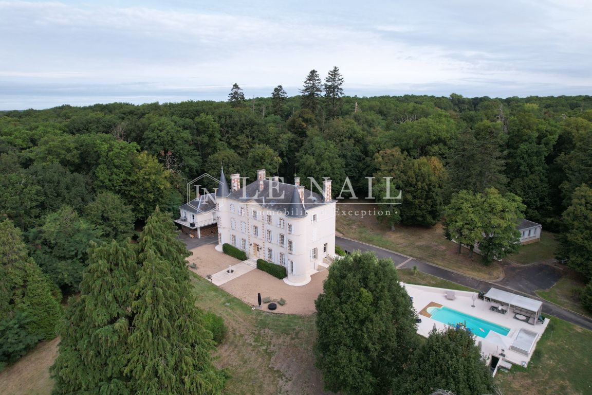 castle 13 rooms for sale on VIERZON (18100) - See details