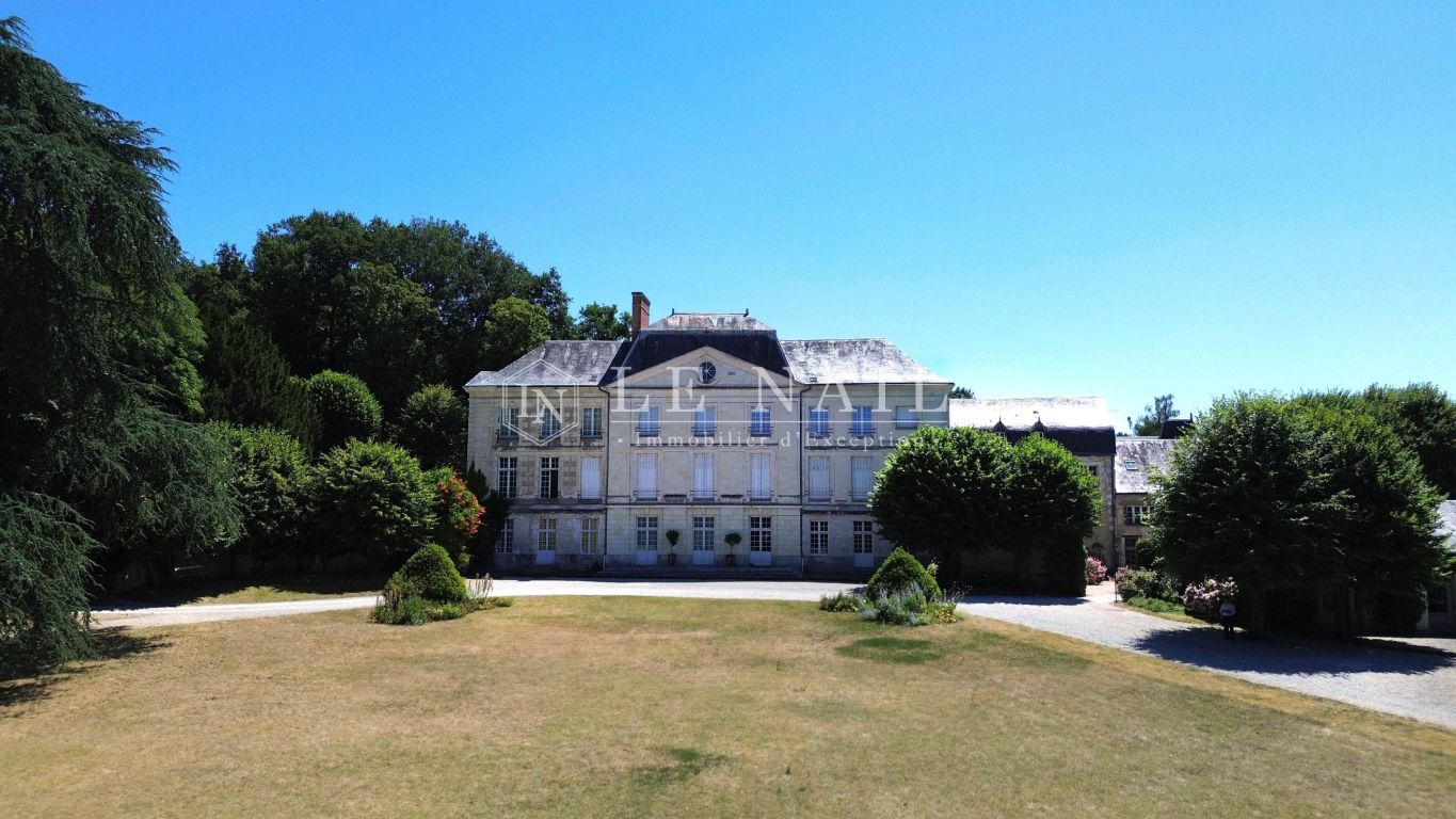 castle 20 rooms for sale on BLOIS (41000) - See details