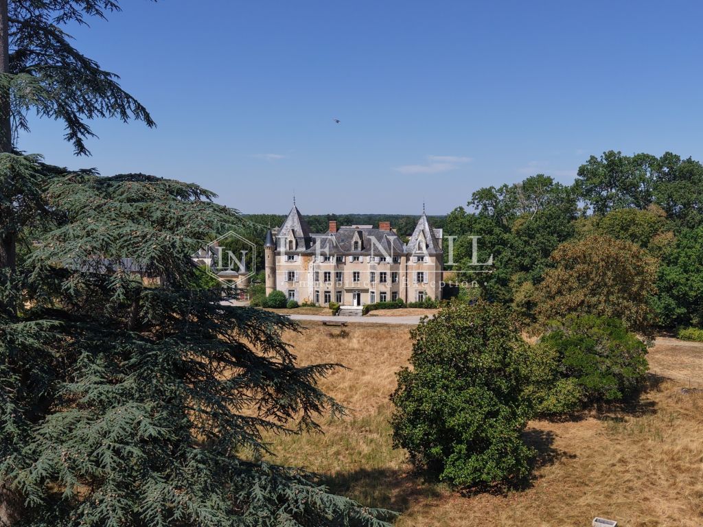 castle 20 rooms for sale on MESLAY DU MAINE (53170) - See details