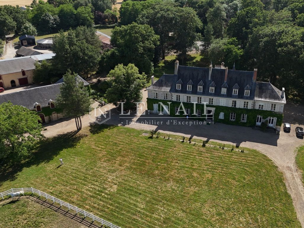 château 16 pièces en vente à AIRVAULT (79600) - Plus de details