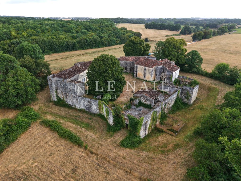 castle 12 rooms for sale on SAINTES (17100) - See details