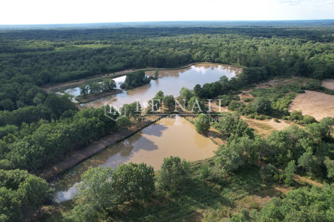 forest for sale on SALBRIS (41300) - See details
