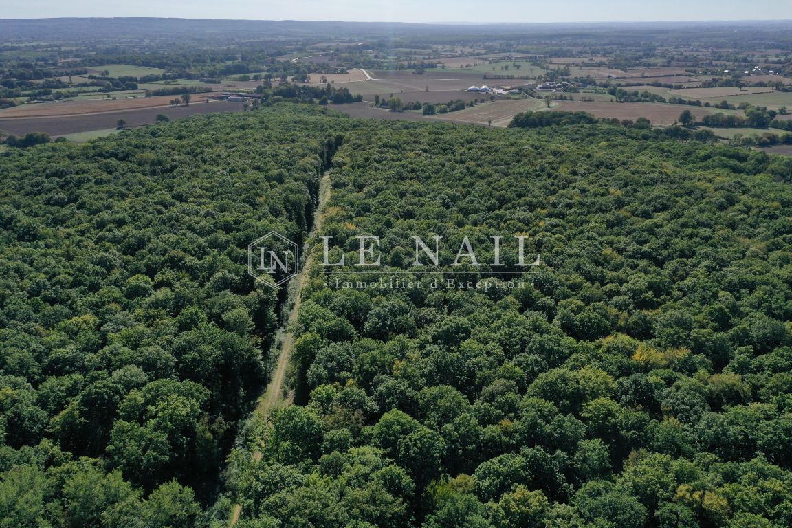 forêt en vente à MARCHEMAISONS (61170) - Plus de details