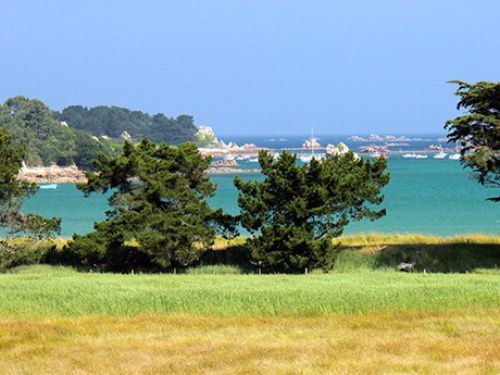 {INFOBULLE_ANNONCES_BRETAGNE}