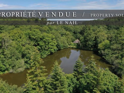 SUPERBE DOMAINE FORESTIER VENDU EN BRETAGNE