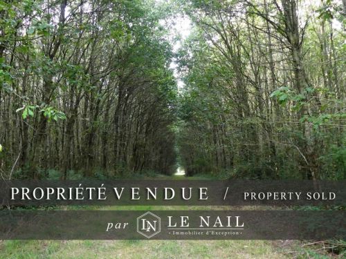 FÔRET VENDUE EN MAYENNE