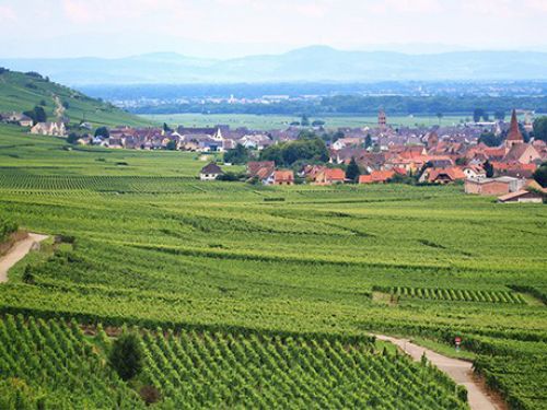 {INFOBULLE_ANNONCES_GRANDEST}