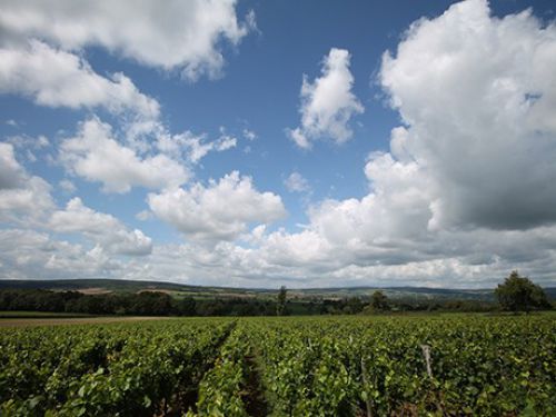 {INFOBULLE_ANNONCES_BOURGOGNE}