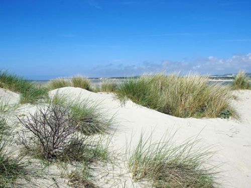 {INFOBULLE_ANNONCES_HAUTSFRANCE}